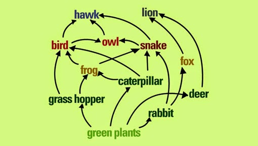 sex and love advice simply asian food web site